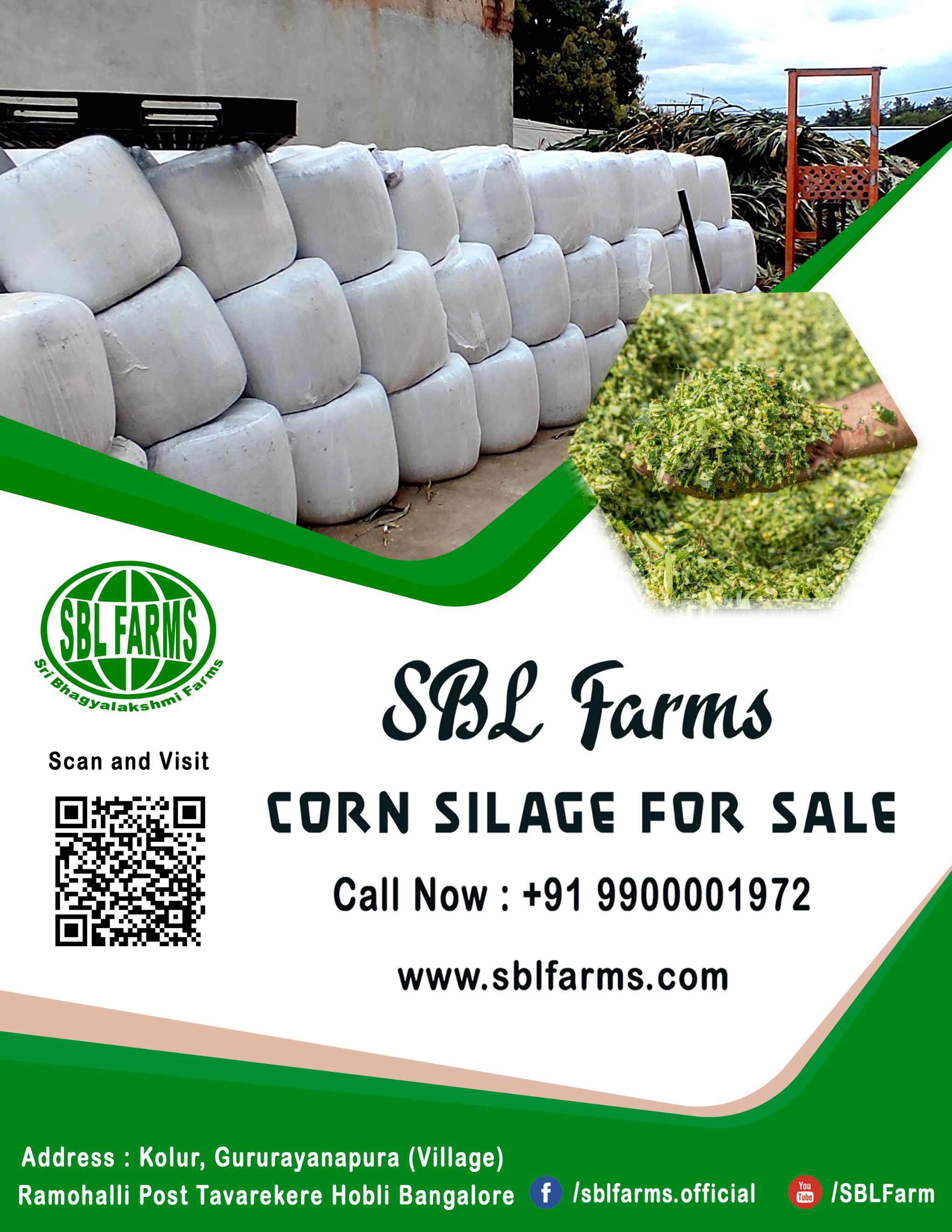 Corn Silage Suppliers in Bangalore | Corn Silage for Sale  |  Corn Silage, Baby Corn Silage manufacturers, suppliers & exporters in Bangalore | corn silage for sale in bangalore |  Sri Bhagyalakshmi Farms Corn Silage Bangalore| Silage Balers | Animal Feed Manufacturers | Production of Silage |Cattle feed manufacturers & suppliers - SBL Farms is solving the biggest fodder crisis in India, by supplying Silage bales, Bailing machines to dairy farmers, Cooperatives, Animal Husbandry | Best Cattle Feed Manufacturers & Silage Suppliers in India | Indias Best Baled Silage Producers